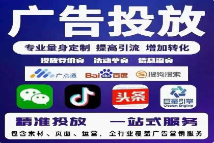 SEM推广公司成功案例：助力企业实现品牌多元化发展